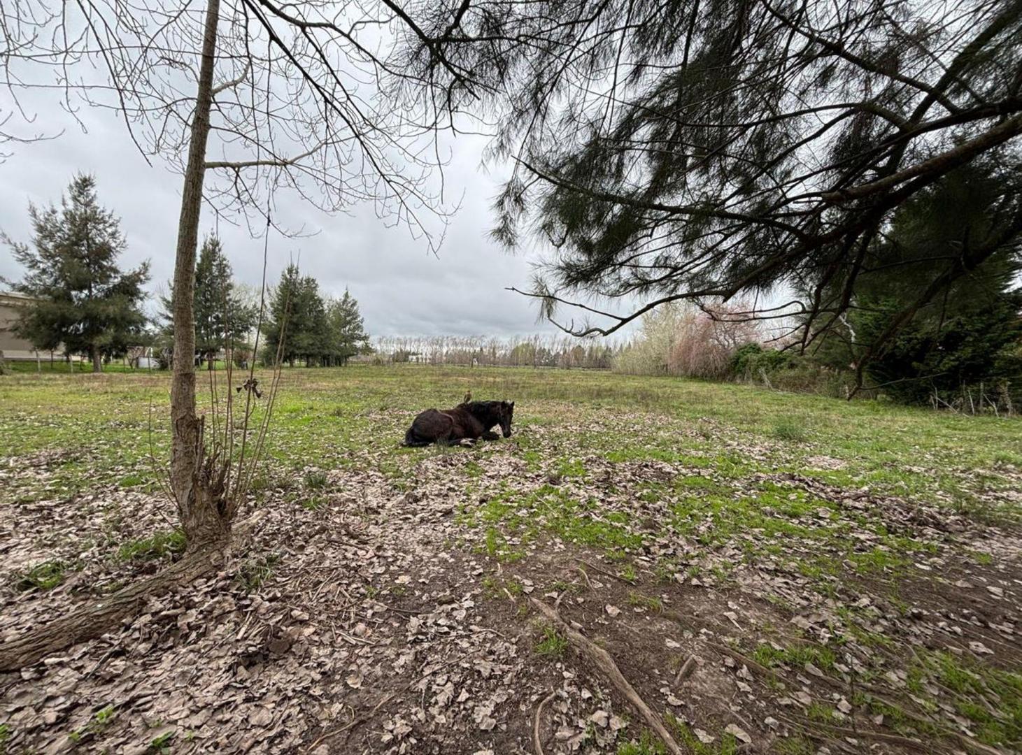 Foto de Lote 5000m2 en VENTA en Haras El Malacate, imagen 1