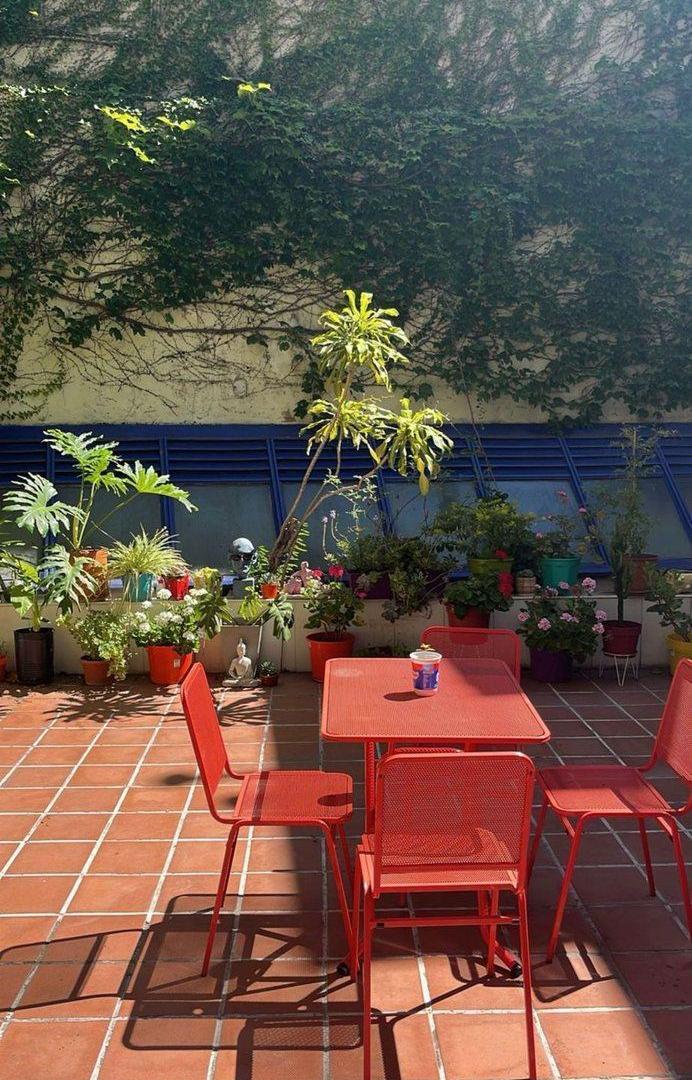 Foto de Alquiler depto 3 Amb Patio en Palermo Amoblado, imagen 4