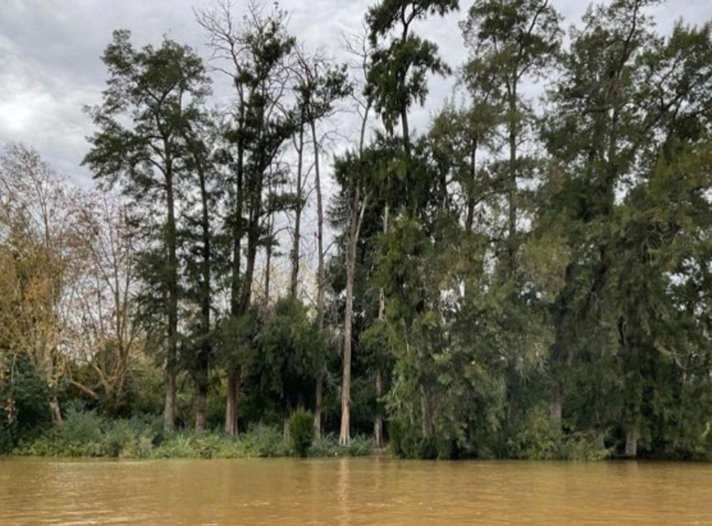 Foto de VENTA LOTE BARRIO NAUTICO MASCHWITZ, imagen 4