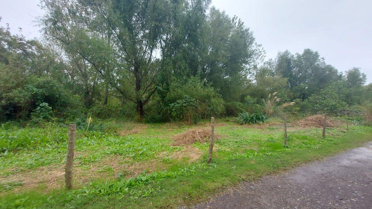 Foto de VENTA LOTE FRENTE AL AGUA EN MASCHWITZ ESCOBAR, imagen 5