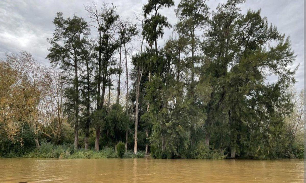 Foto de VENTA LOTE FRENTE AL AGUA EN MASCHWITZ ESCOBAR, imagen 2