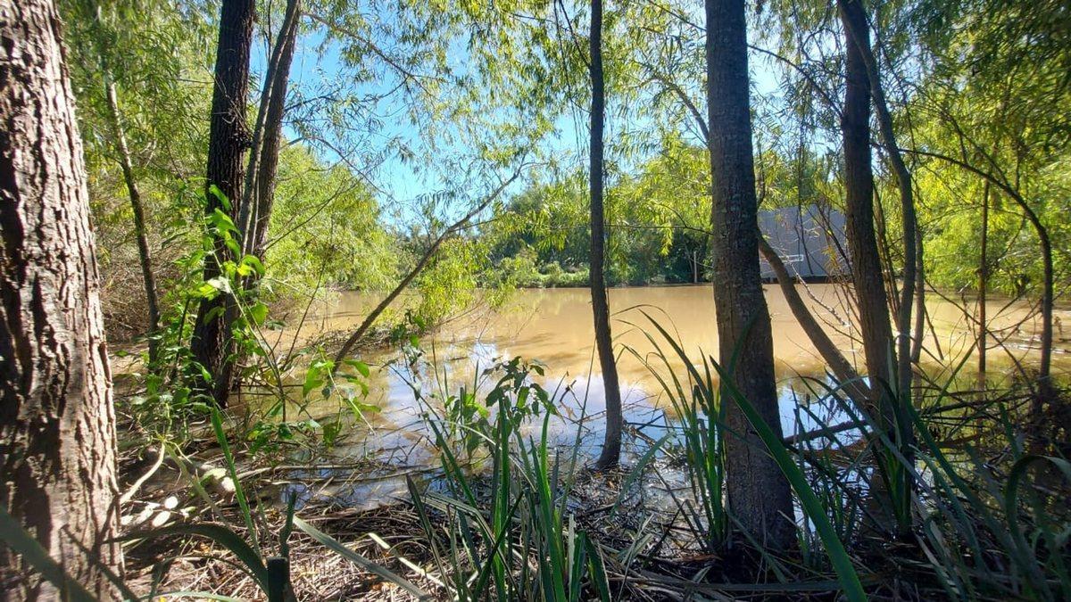 Foto de VENTA LOTE FRENTE AL AGUA EN MASCHWITZ ESCOBAR, imagen 1