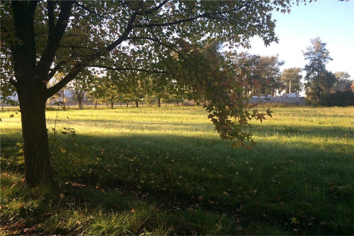 Foto de Venta Terreno 12.848 mts panamericana Fatima Pilar, imagen 4