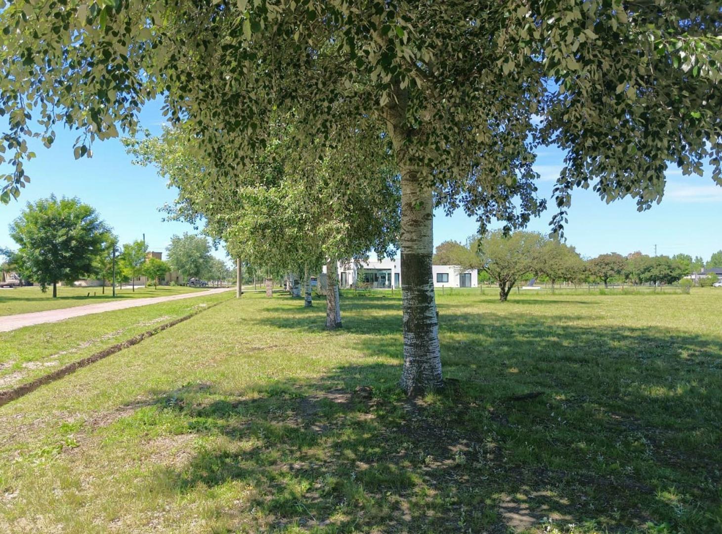 Foto de VENTA LOTE 2 MZN 12 FINCAS DE SAN VICENTE II, imagen 4