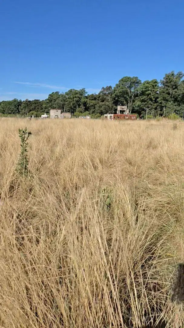 lote#domselaar#5000m2 1