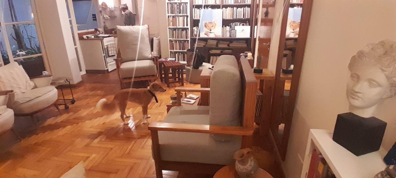 Foto de DEPARTAMENTO 2 AMBIENTES - PALERMO SOHO, CAPITAL FEDERAL, imagen 5