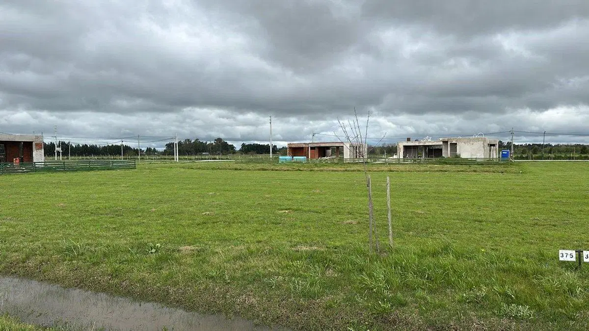 VENTA LOTES FINCAS JOVEN EN SAN VICENTE 5