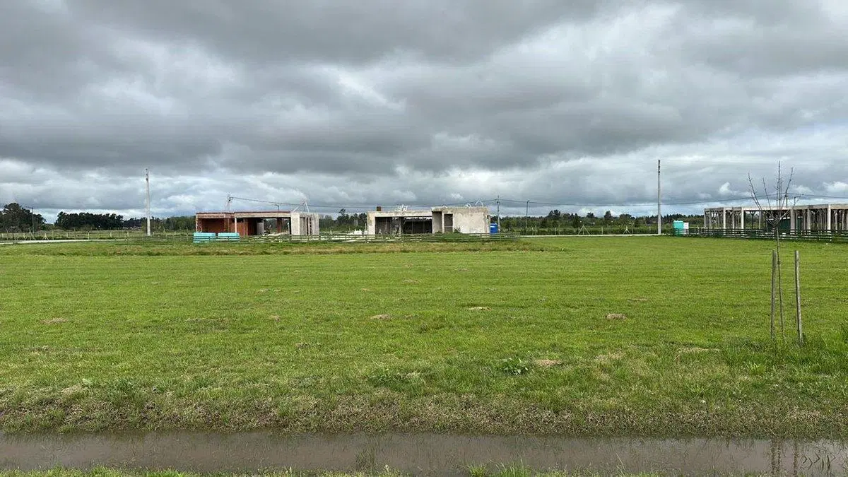 VENTA LOTES FINCAS JOVEN EN SAN VICENTE 4