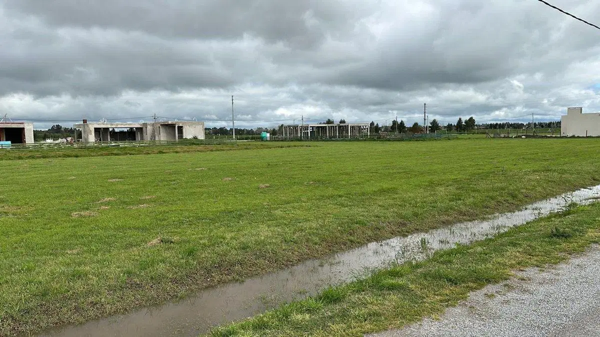 VENTA LOTE FINCAS JOVEN EN SAN VICENTE 3