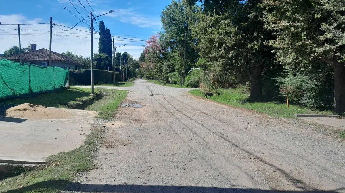 Venta lote 372m2 La Lonja Pilar 5