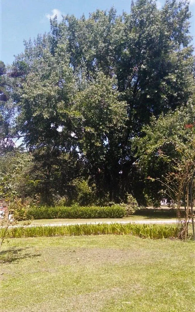 Lote 3.014,84 Metros Venta Loma Verde Apto Crédito 5