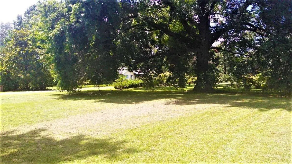 Lote 3.014,84 Metros Venta Loma Verde Apto Crédito 2