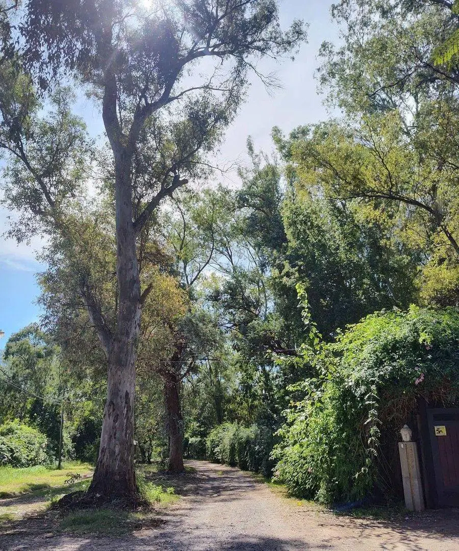 Venta Lote Barrio El Cazador Escobar 4