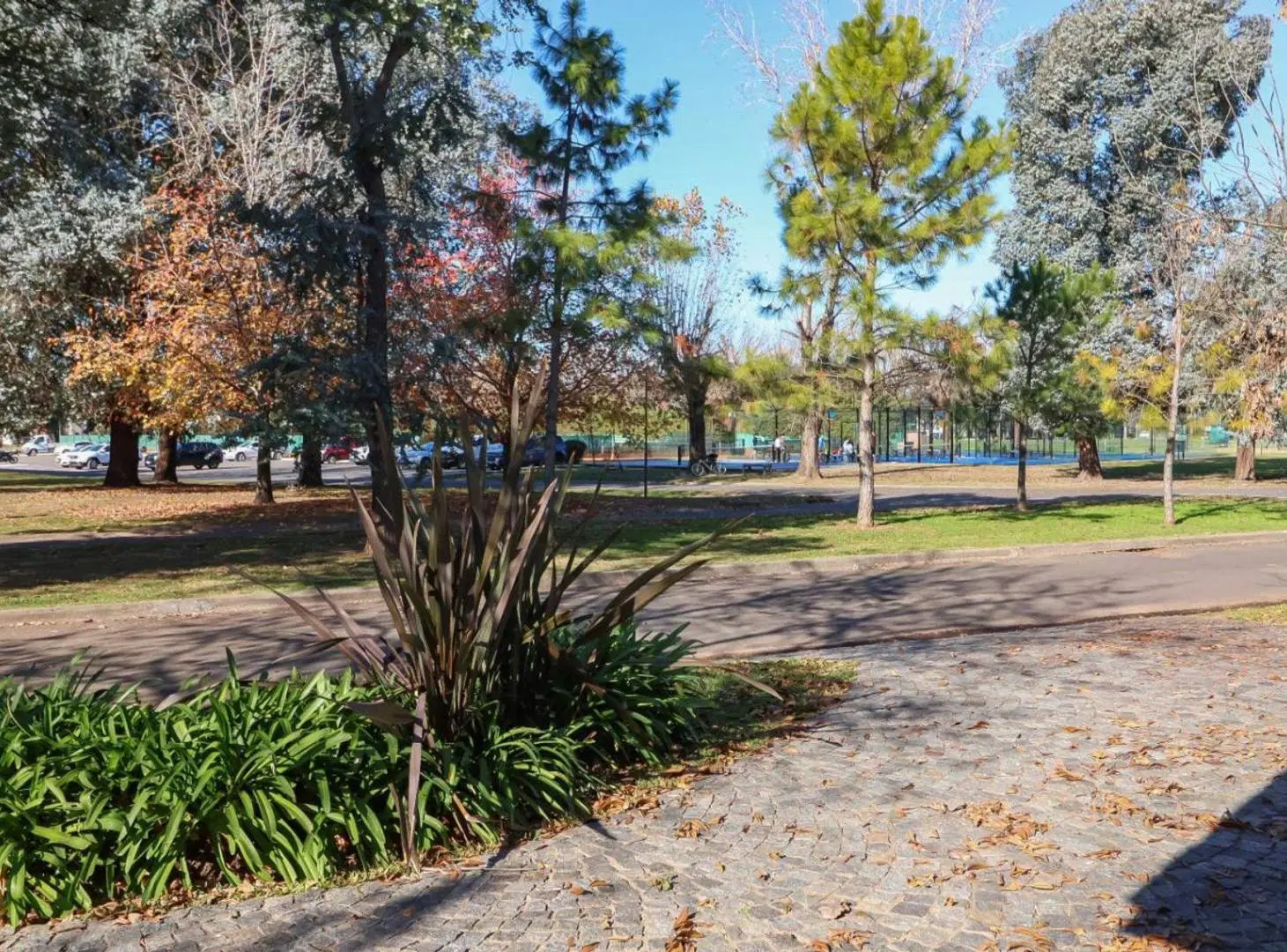 Casa 5 Ambientes Venta San Patricio ¡Oportunidad! 4