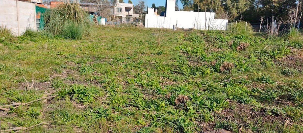 Foto de Lote en Venta La Lonja Pilar | 744 m2, imagen 1