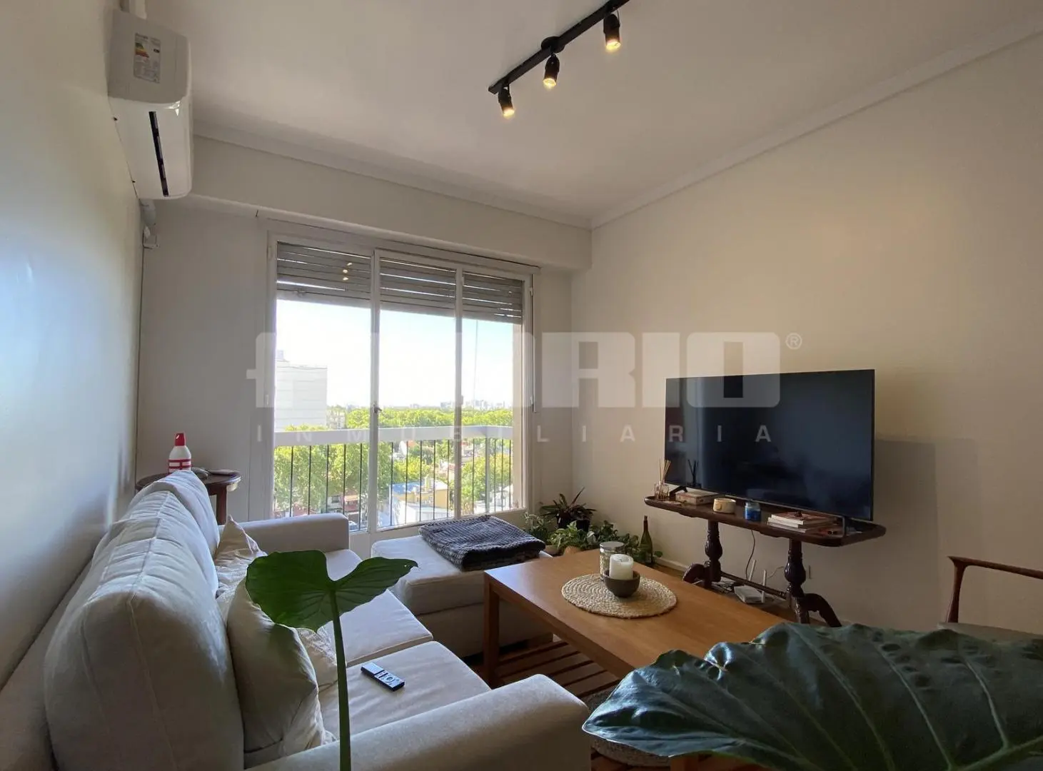 Departamento 3 ambientes con balcón y vistas en Vicente López 3