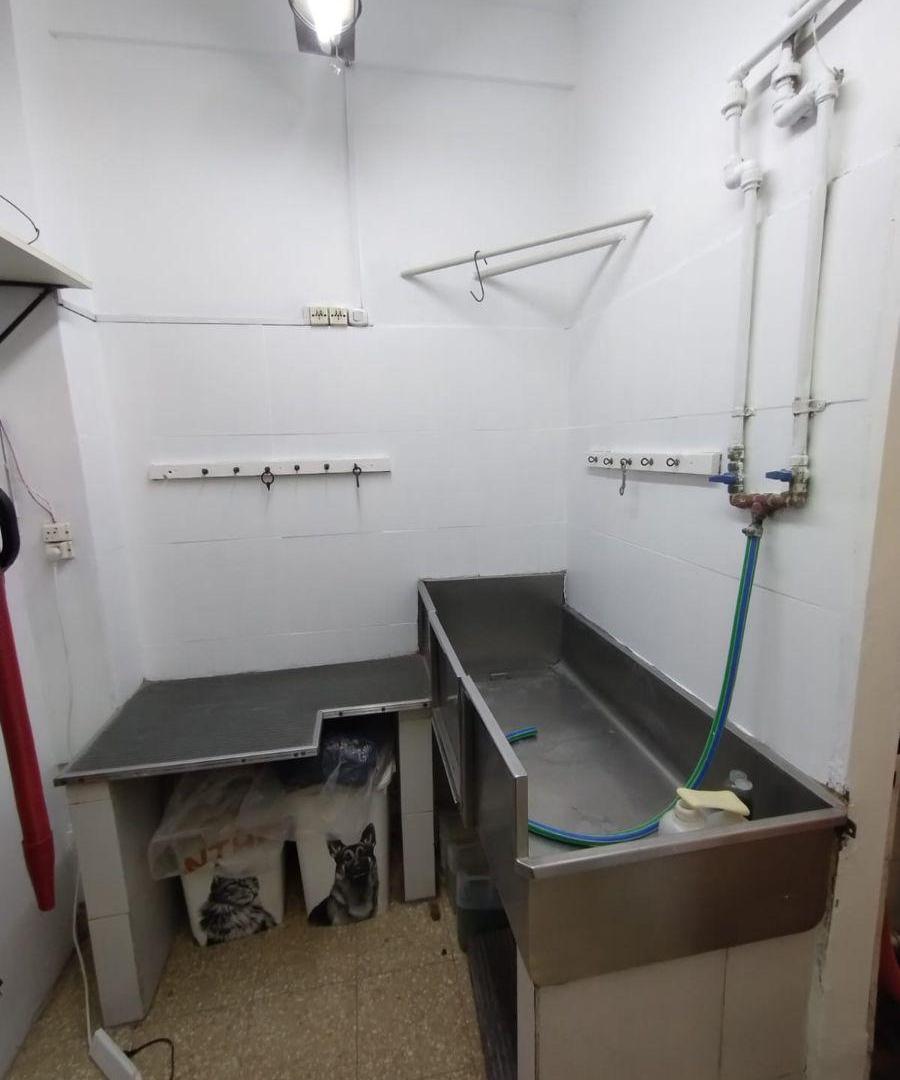 Foto de VENTA LOCAL CON RENTA, imagen 3