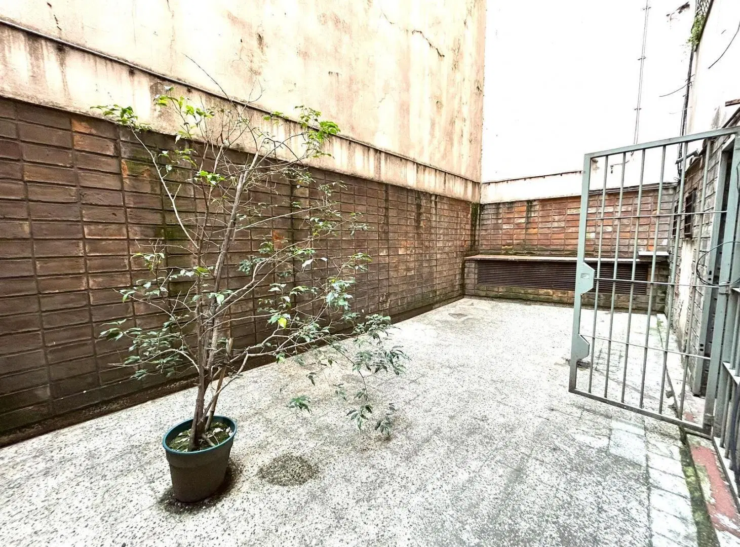 OPORTUNIDAD - VENTA - LOCAL AMPLIO 132 m2 tot  - TRIBUNALES 2