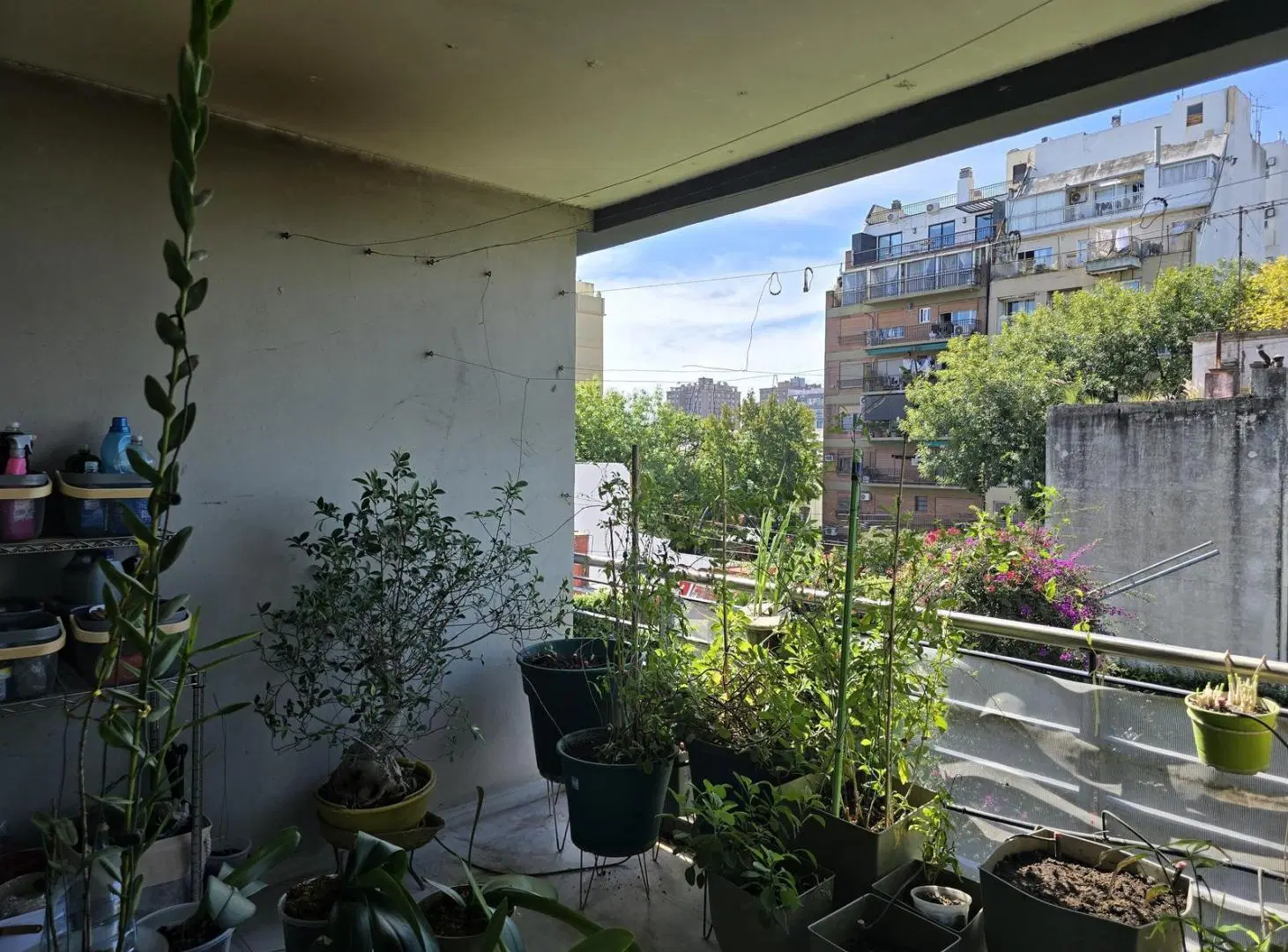VENTA DEPARTAMENTO   3 AMB. EDIFICIO FLOREAL BELGRANO 5