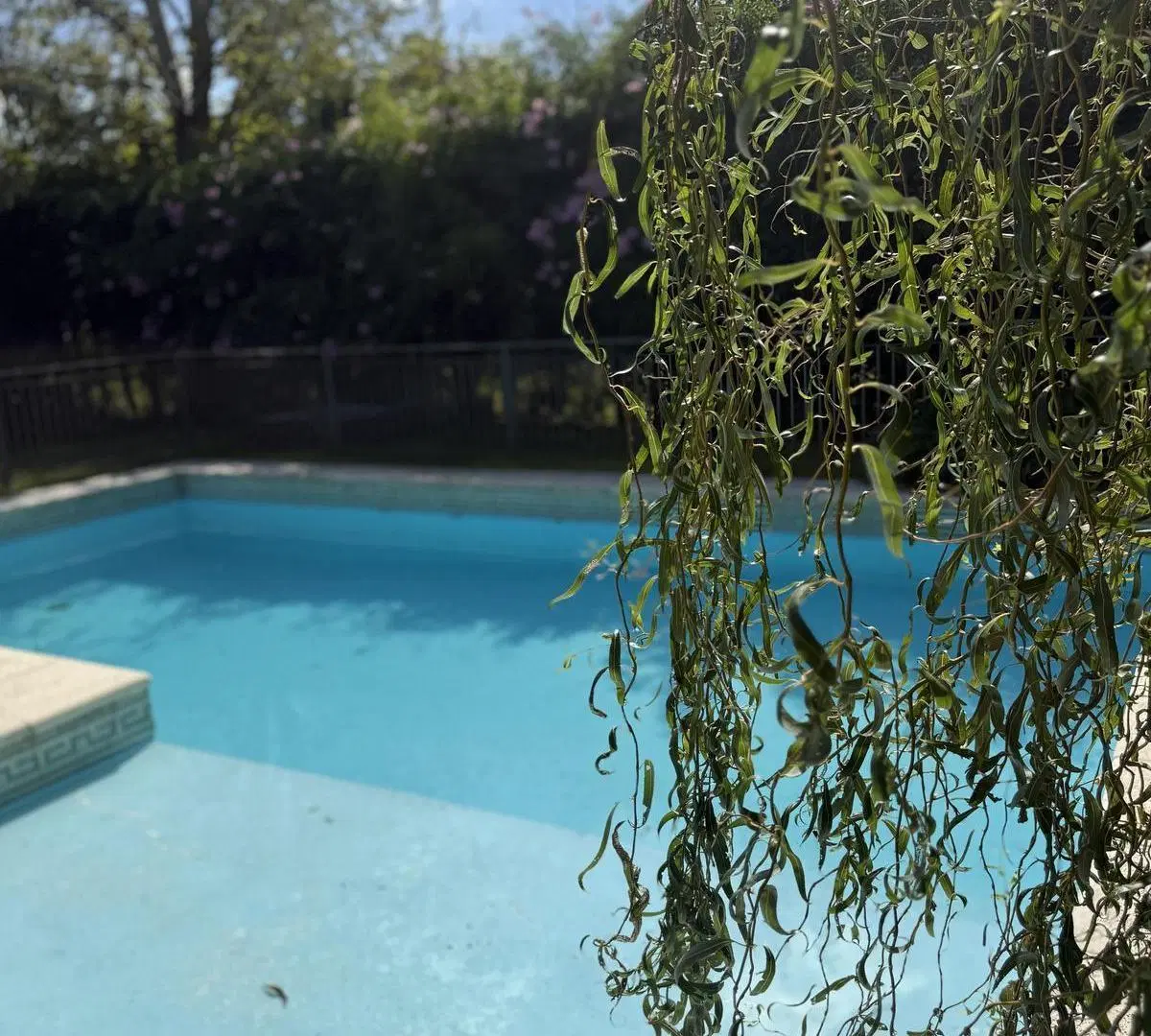 CLUB DE CAMPO - VENTA - ALQUILER 5