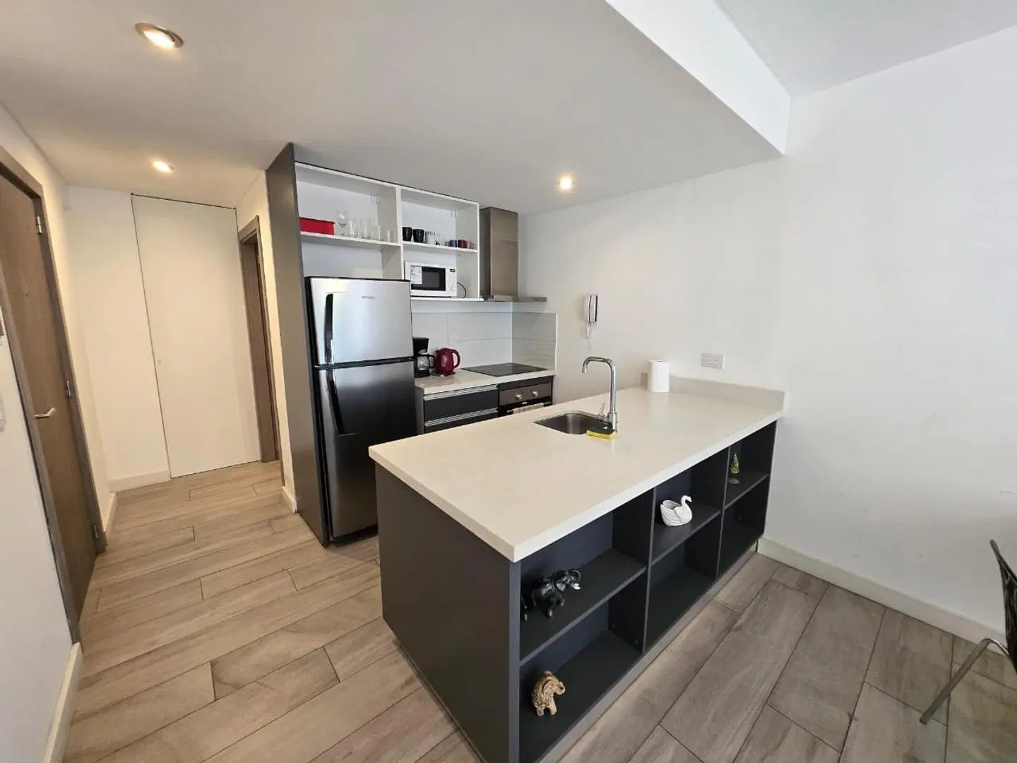Depto monoambiente amplio divisible amueblado amenities 1