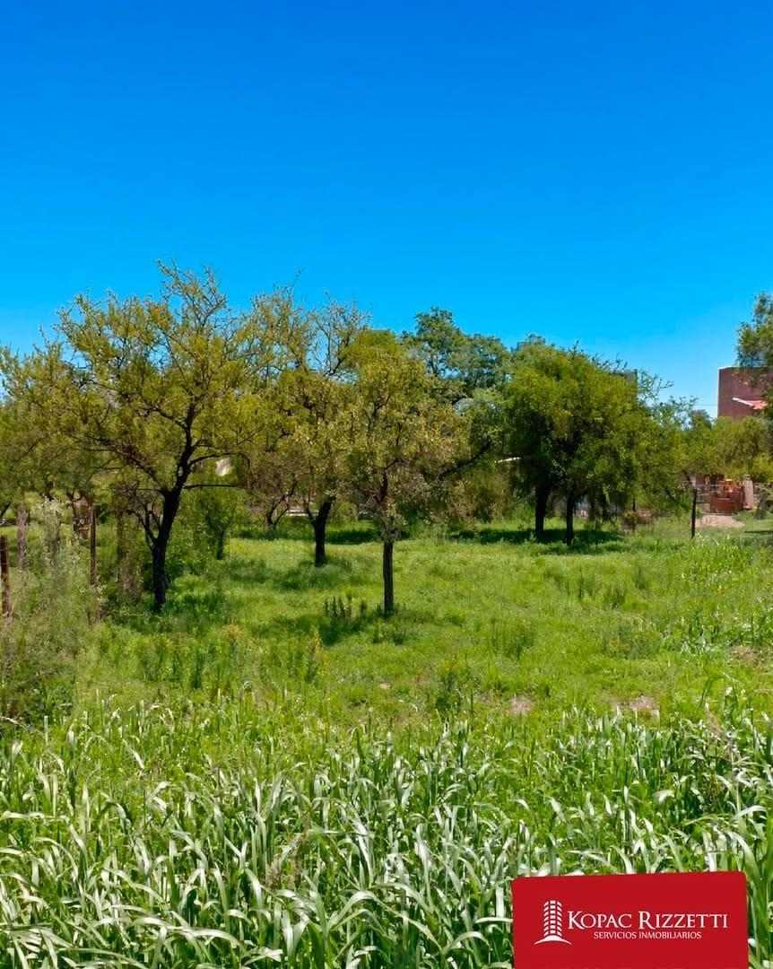 Foto de TALAR DE MENDIOLAZA (JUNCAL 337) - VENTA LOTE 562 M2., imagen 2