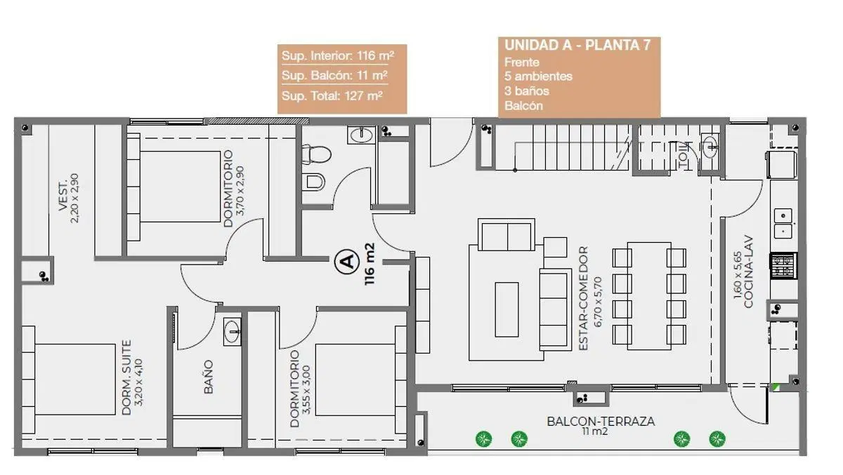 Plano 6