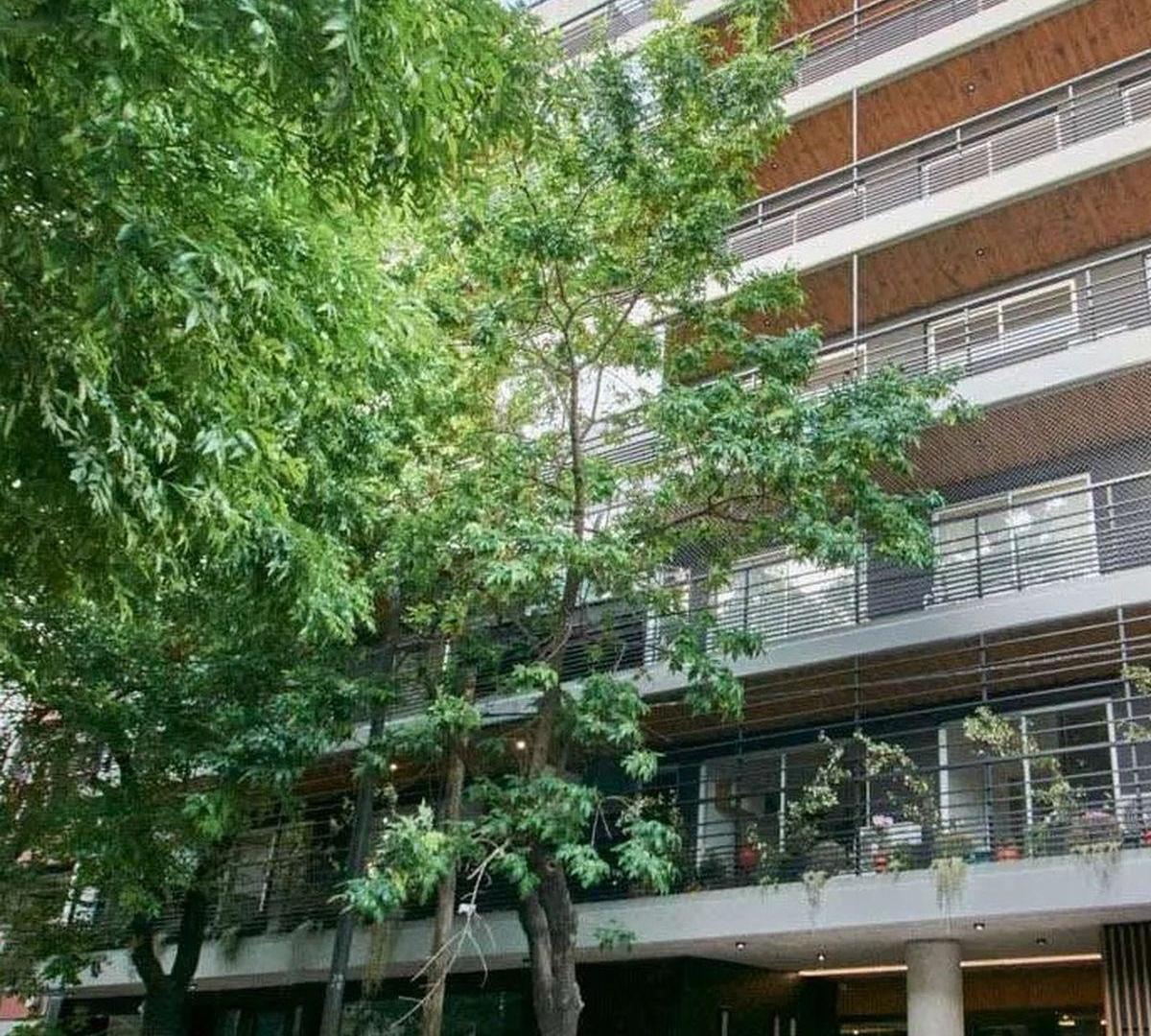 Foto de Ambiente y Medio | Ideal Para 2 Ambientes, imagen 1