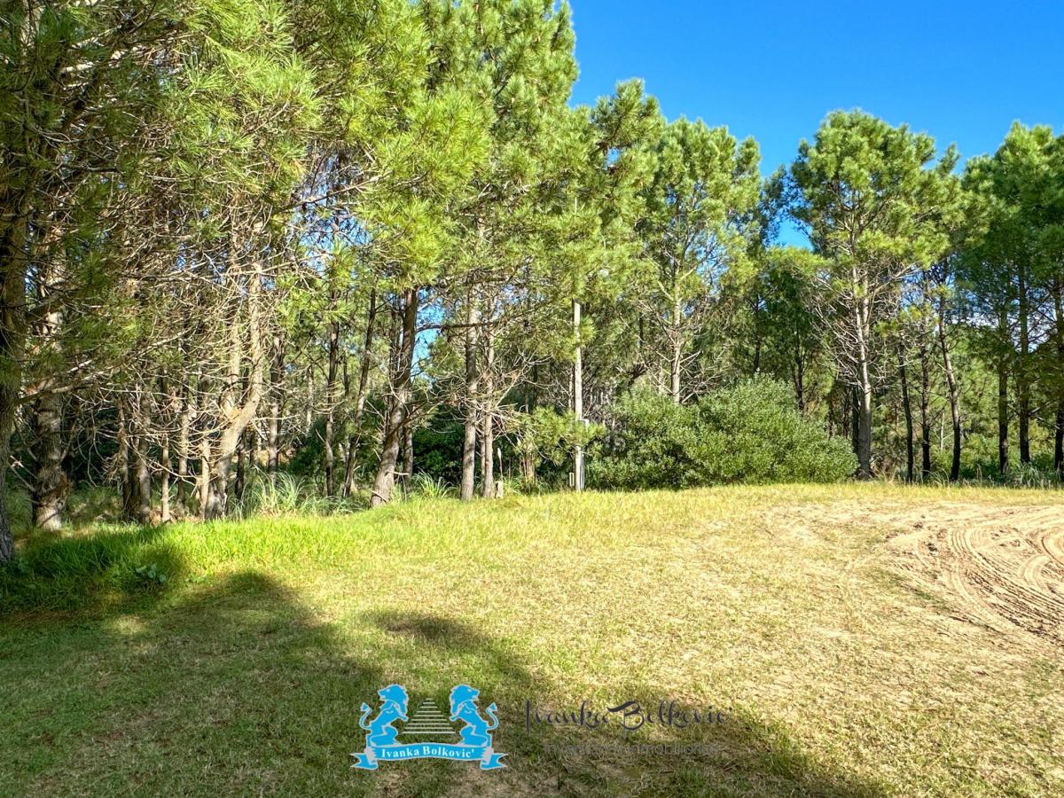 Venta Lote 1700 m². Costa Esmeralda Barrio Residencial Arbolado Cul de Sac 5