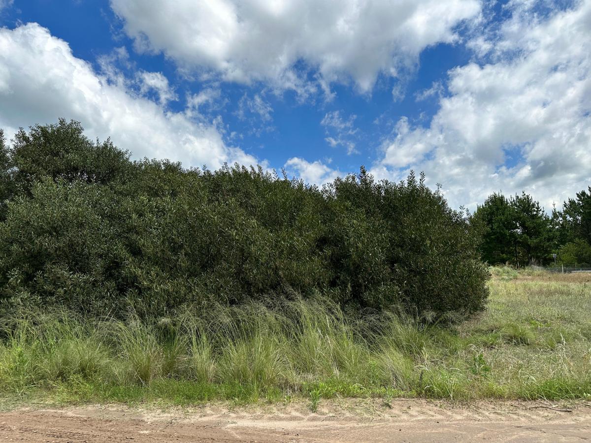 Venta Lote Costa Esmeralda Barrio Residencial a Nivel Inverti Este 2024 2