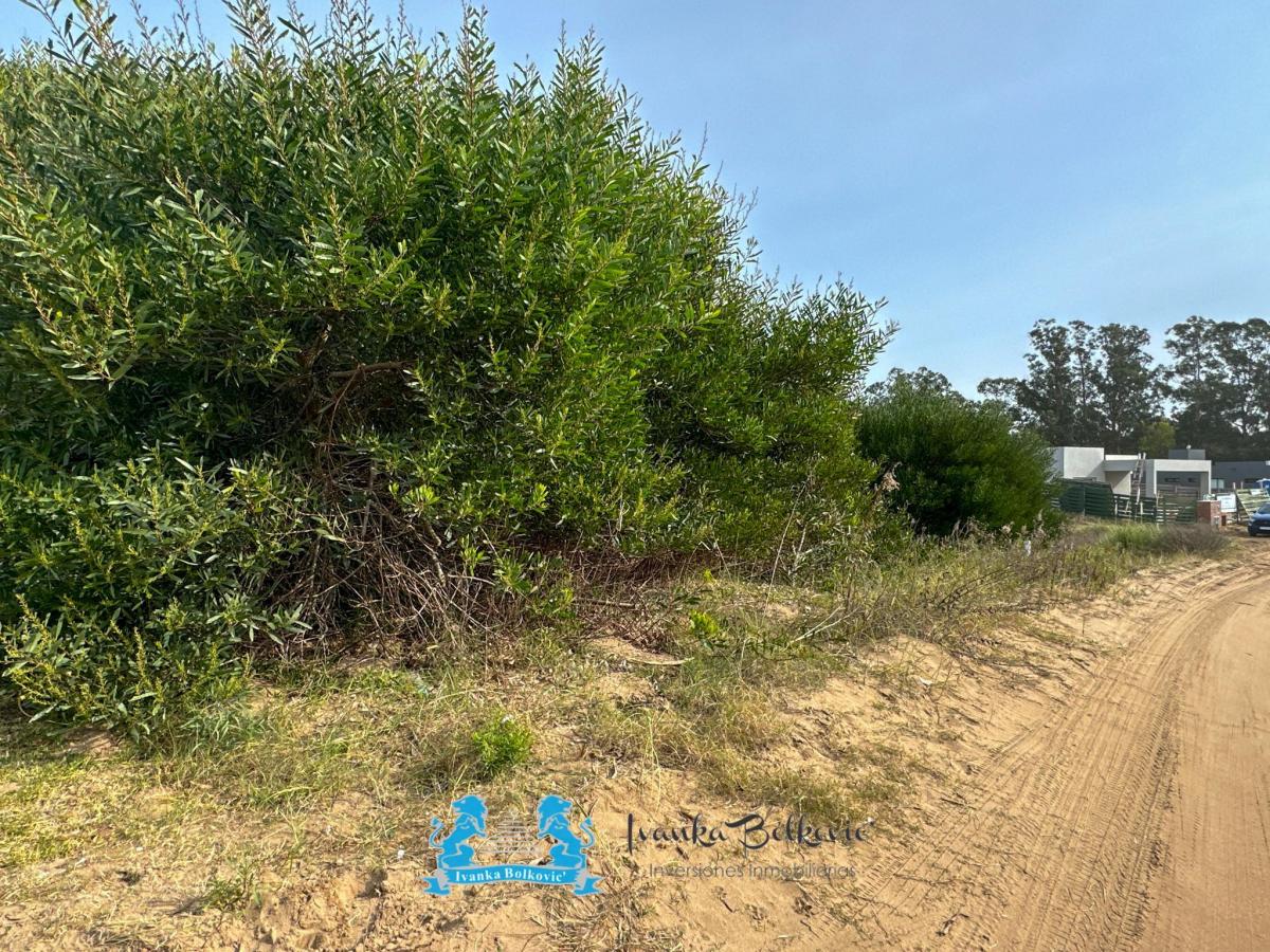 Venta Lote Costa Esmeralda - 976 m - Fondos Libres - Barrio Senderos 5