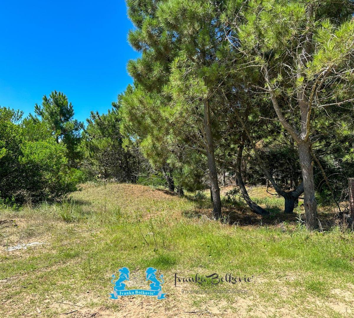 Venta Lote Costa Esmeralda - 970 m - Barrio Maritimo Fondos Libres a La Playa 1