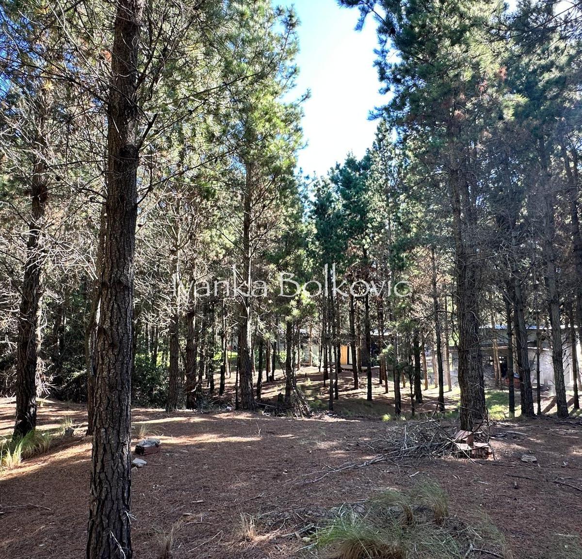 Venta Lote Costa Esmeralda - a Nivel Pinos en Altura