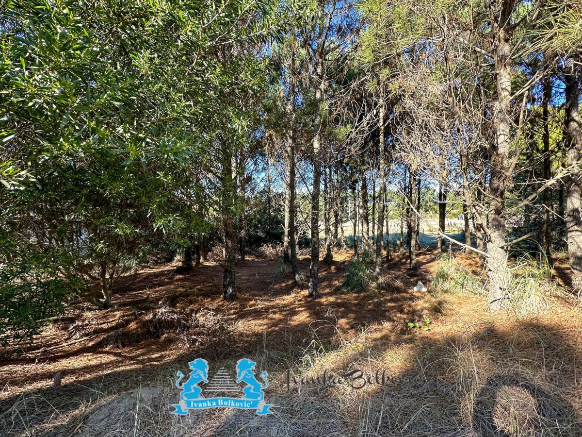 Venta Lote Costa Esmeralda Barrio Residencial 1 - Arbolado con Fondos Libres 3