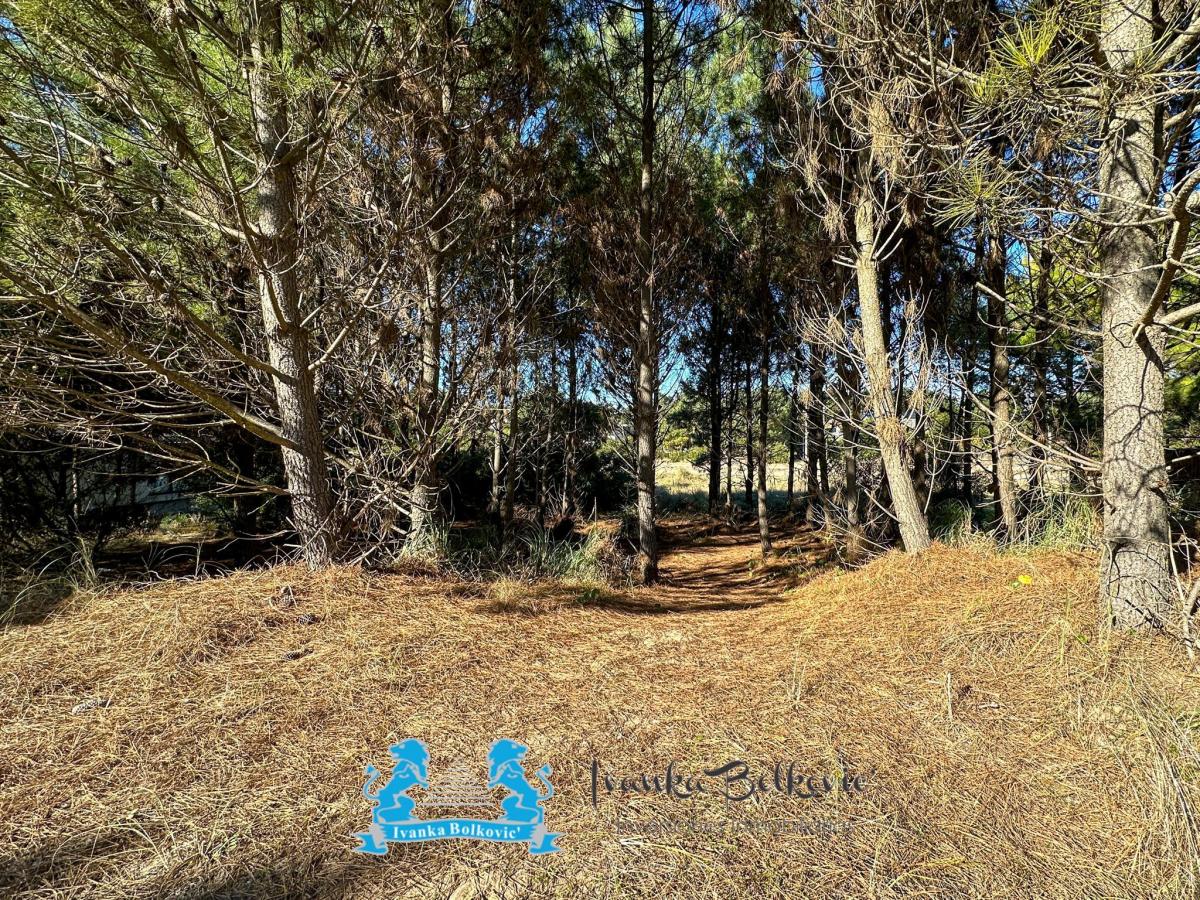 Venta Lote Costa Esmeralda Barrio Residencial 1 - Arbolado con Fondos Libres 2