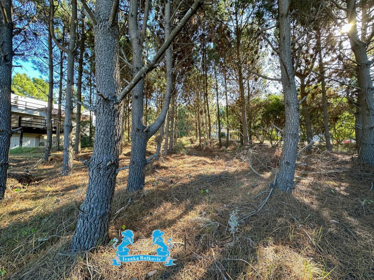 Venta Lote Costa Esmeralda Barrio Residencial 1 - Arbolado con Fondos Libres 5