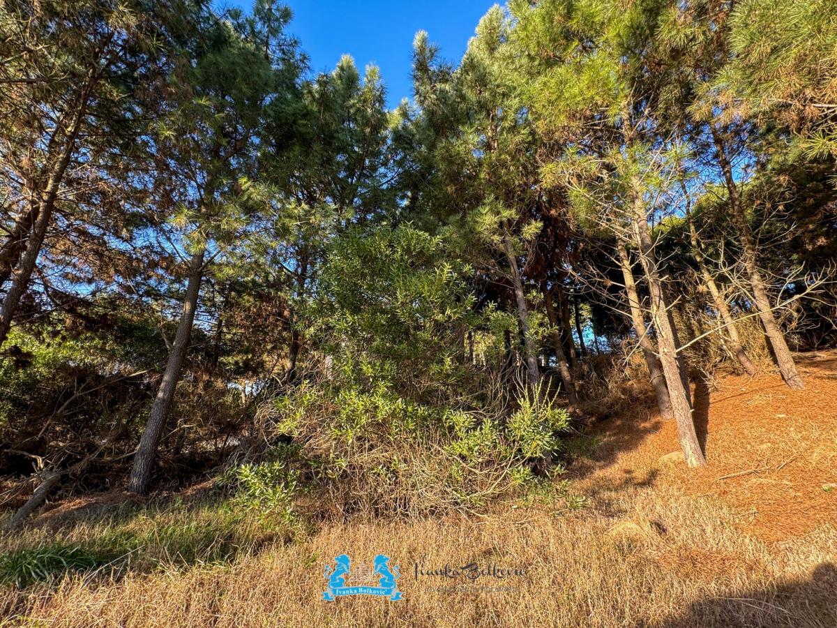 Oportunidad – Lote de 1.024 m² en Residencial I – Costa Esmeralda 5