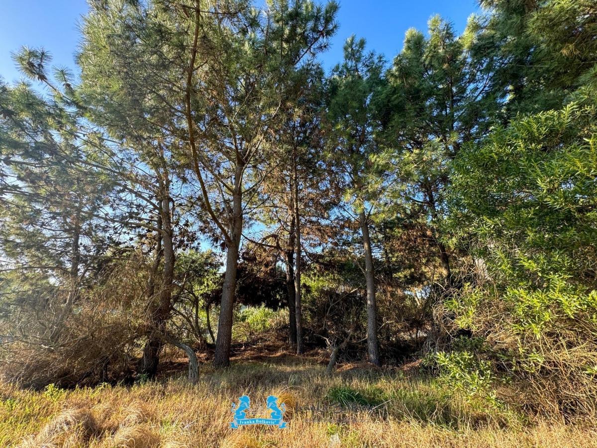 Oportunidad – Lote de 1.024 m² en Residencial I – Costa Esmeralda 4