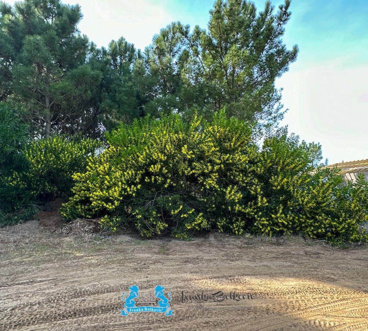 Venta Lote en Costa Esmeralda – Barrio Golf 2 | 941 m² Para Tu Proyecto Ideal 4