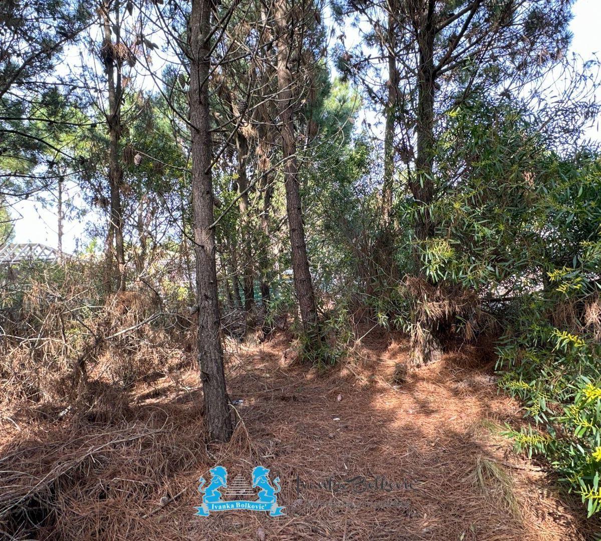 Venta Lote en Costa Esmeralda – Barrio Golf 2 | 941 m² Para Tu Proyecto Ideal 3