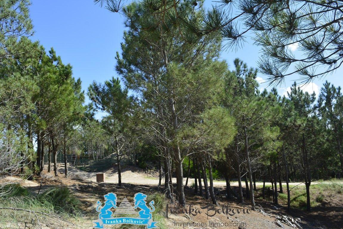 Venta Lote Arbolado en Barrio Marítimo Costa Esmeralda, 1000 m² a Pasos del Mar 1