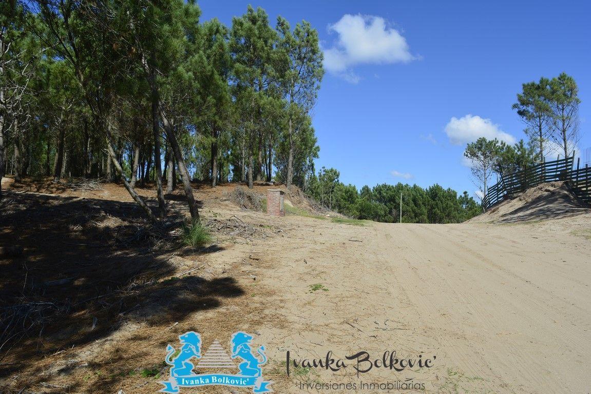 Venta Lote Arbolado en Barrio Marítimo Costa Esmeralda, 1000 m² a Pasos del Mar 3