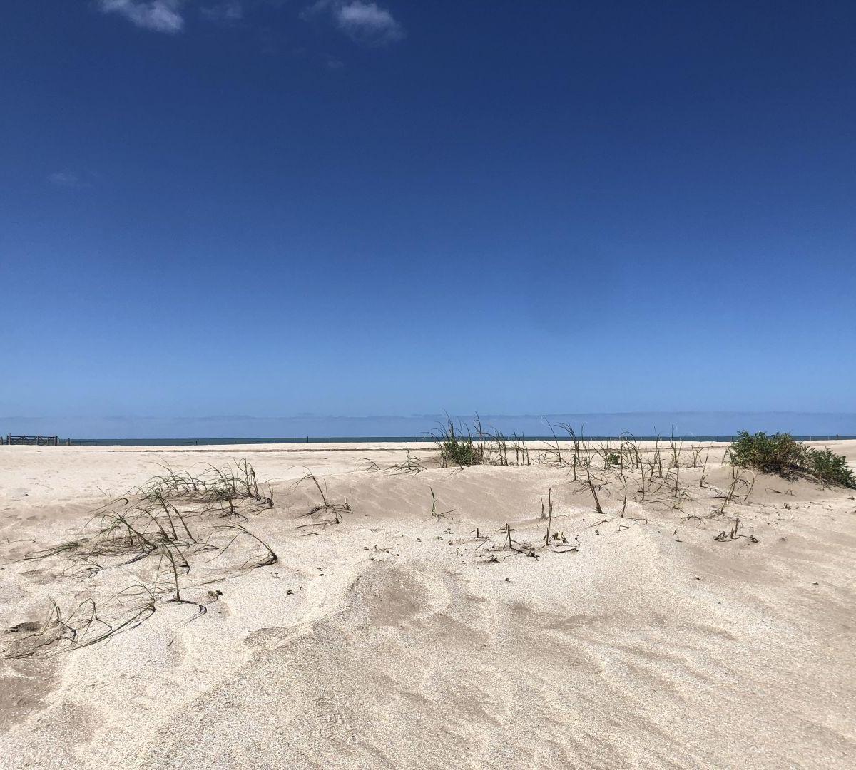 Venta Lote Arbolado en Barrio Marítimo Costa Esmeralda, 1000 m² a Pasos del Mar 4