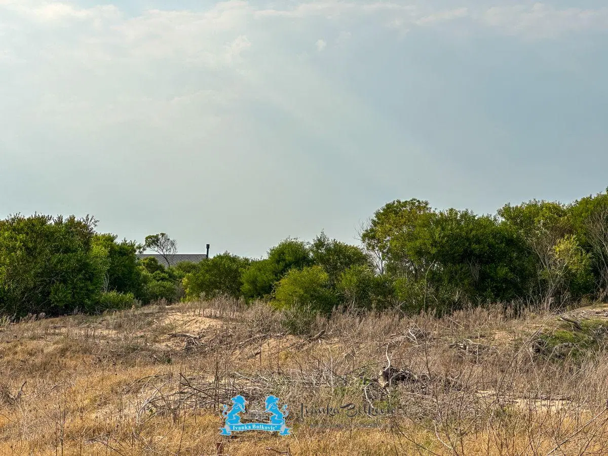 Venta Lote a nivel de 1.370 m² - entorno arbolado Costa Esmeralda 3
