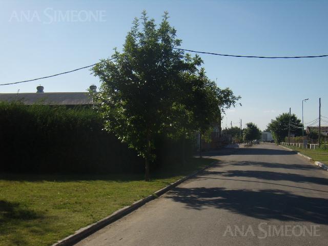 Complejo Industrial Cerrado a La Venta con Renta 4