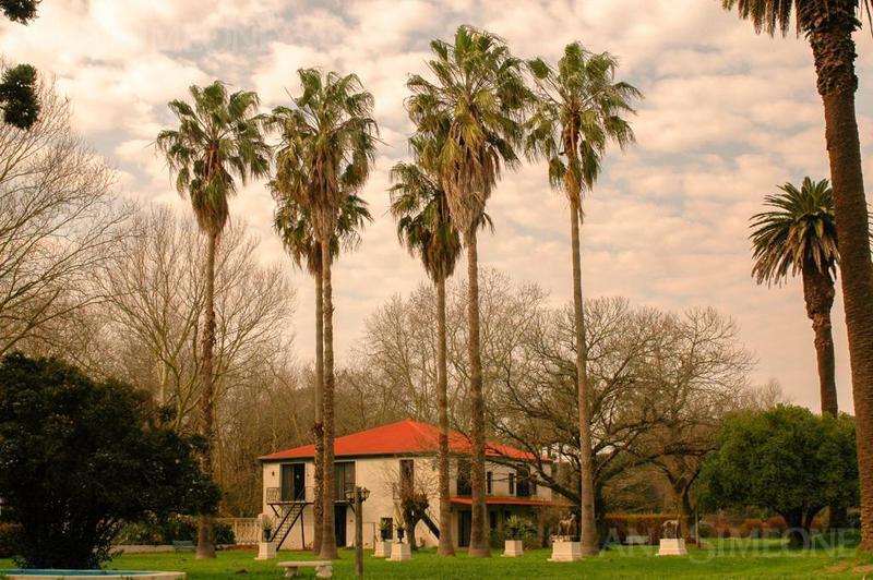 Campo - San Miguel del Monte 1