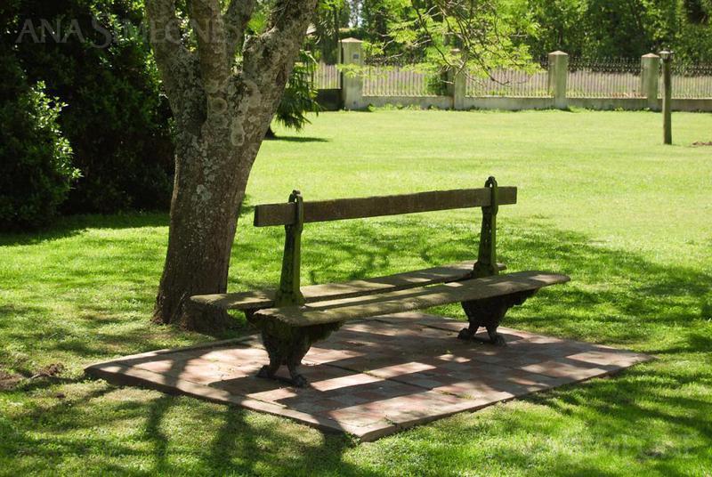 Campo - San Miguel del Monte 3