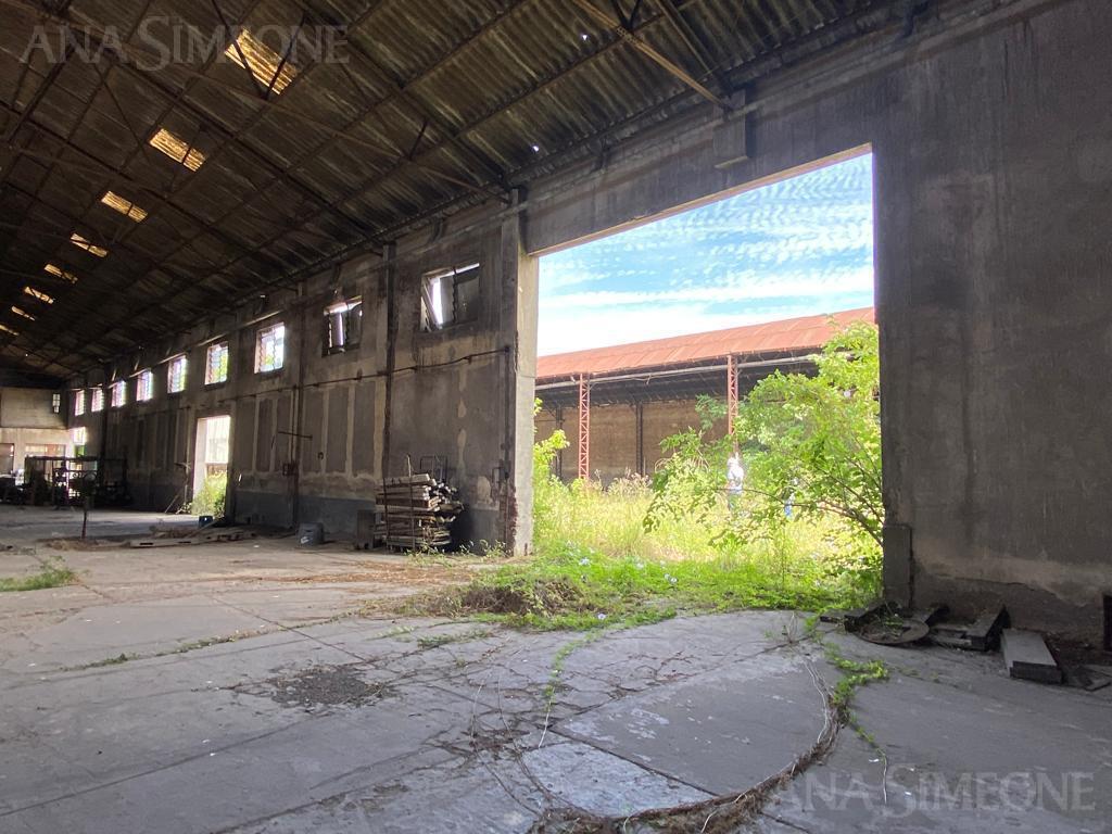 Nave Industrial - Venta y Alquiler - Mataderos 1