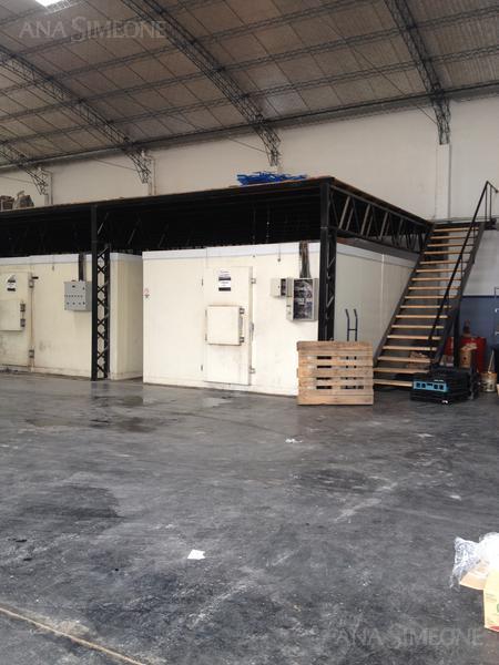 Excelente Nave Industrial de 1500 m² Sobre 5100 m² de Lote 1