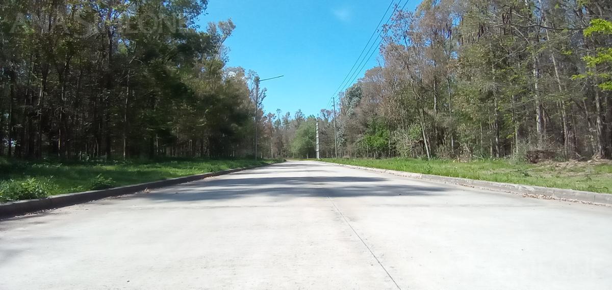Terreno - Venta - Moreno 2
